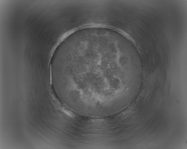 X0000067481223200604211624