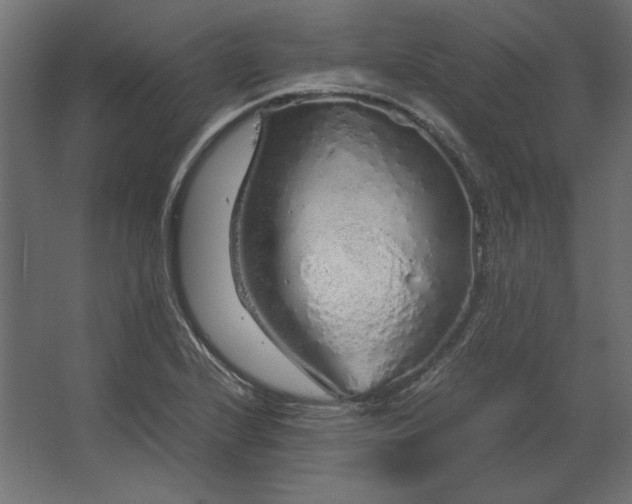 X0000067481224200604211624