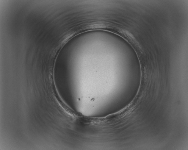 X0000067481225200604211624