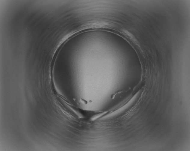 X0000067481226200604211624