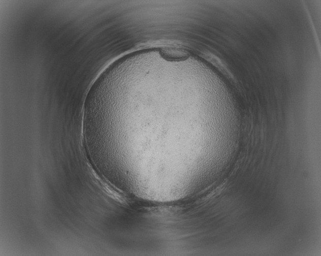 X0000067481228200604211624