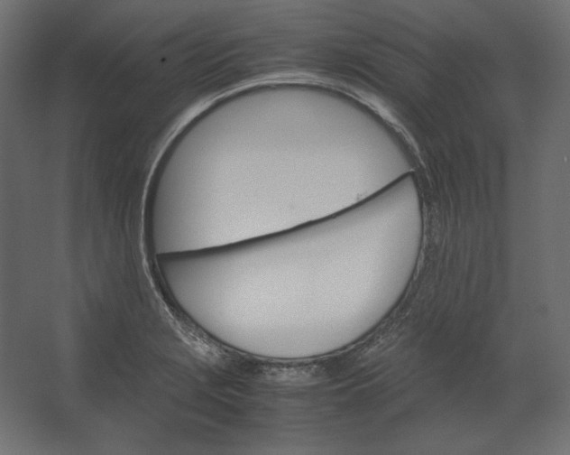 X0000067481229200604211624