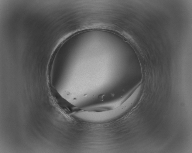 X0000067481230200604211624