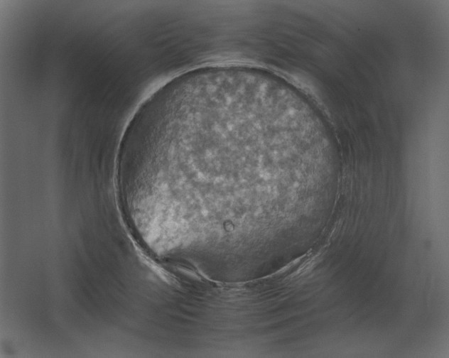 X0000067481231200604211624