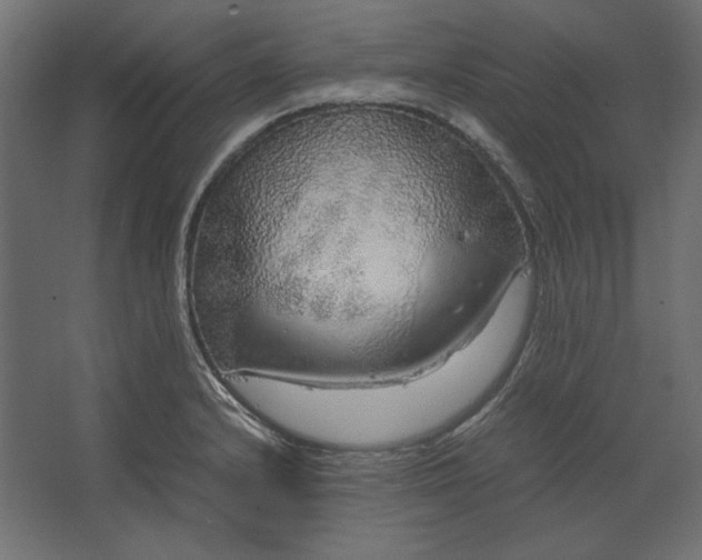 X0000067481232200604211624