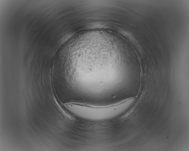 X0000067481233200604211624