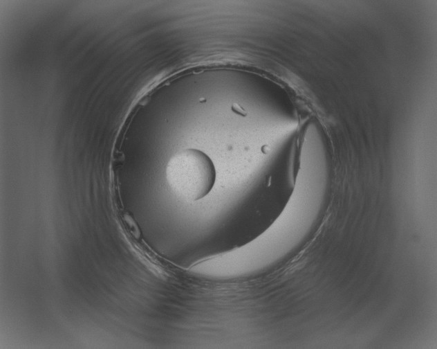 X0000067481234200604211624