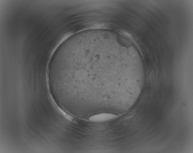 X0000067481235200604211624