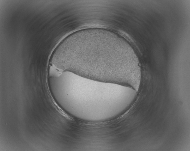 X0000067481236200604211624