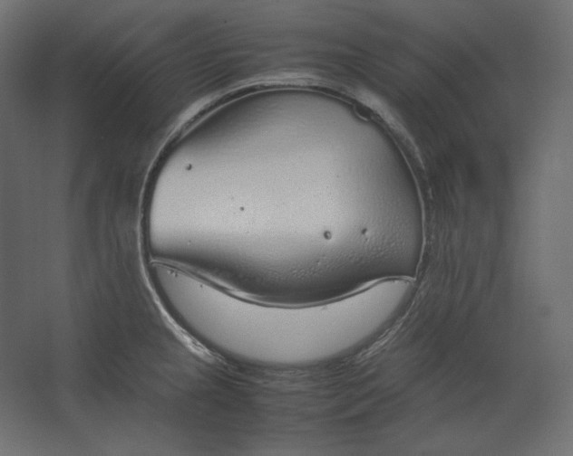 X0000067481237200604211624