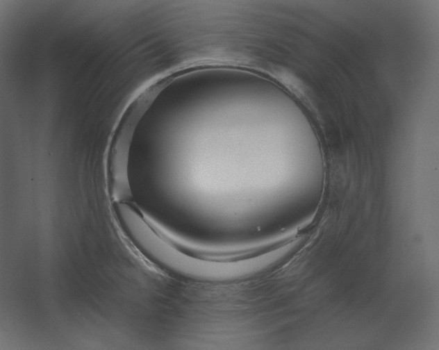 X0000067481238200604211624