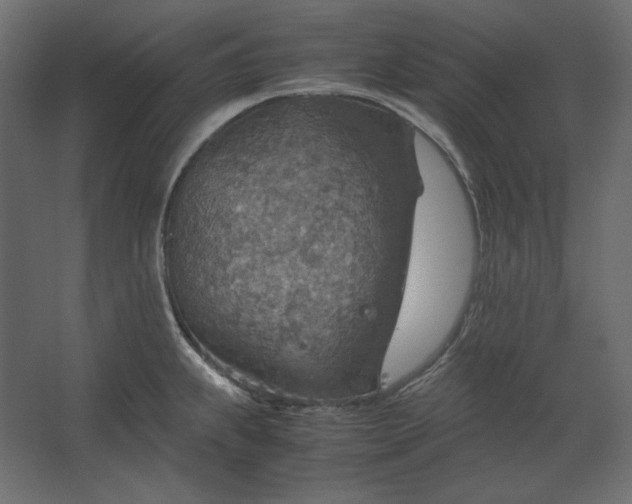 X0000067481239200604211625