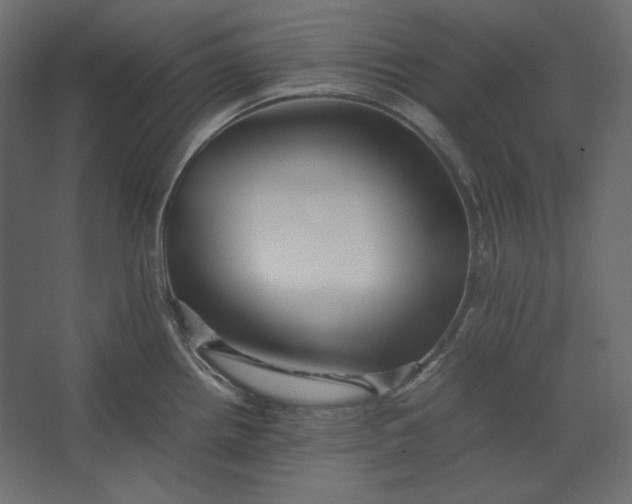 X0000067481242200604211625