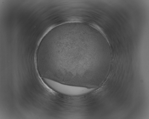 X0000067481243200604211625