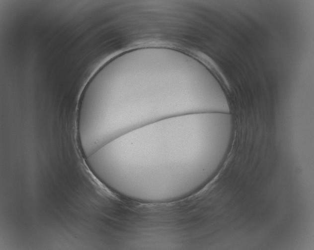 X0000067481244200604211625