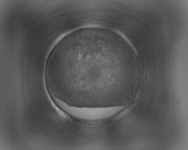 X0000067481245200604211625