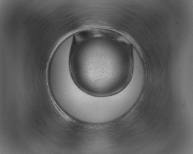 X0000067481246200604211625