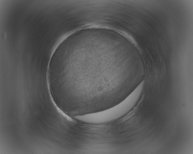 X0000067481247200604211625