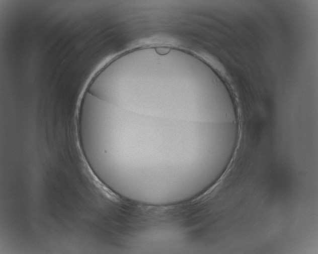 X0000067481248200604211625