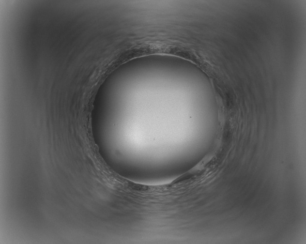 X0000067481249200604211624