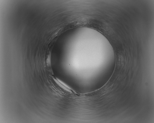 X0000067481250200604211624