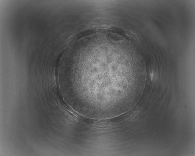 X0000067481252200604211624