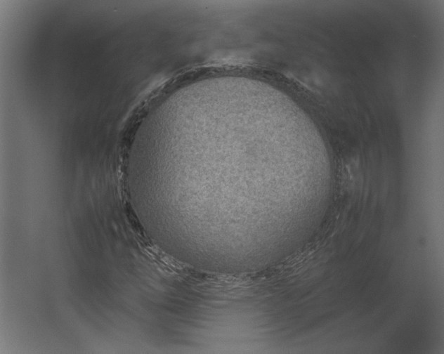 X0000067481254200604211624