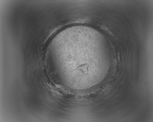 X0000067481256200604211624