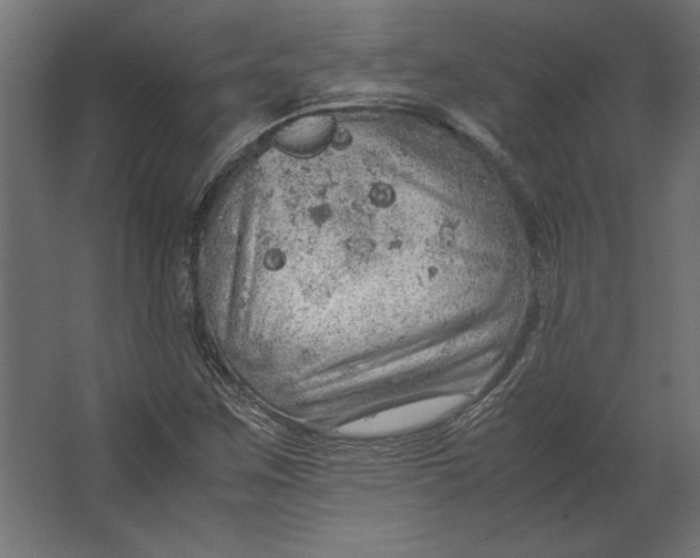 X0000067481259200604211624