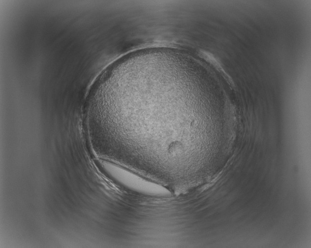 X0000067481260200604211624