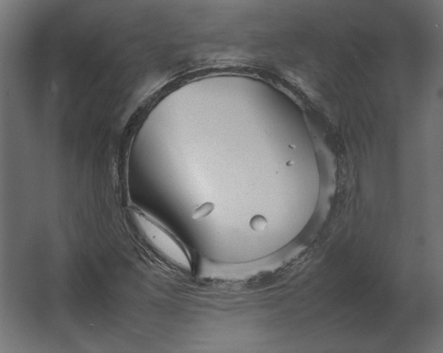 X0000067481261200604211624