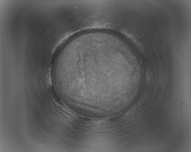 X0000067481262200604211624