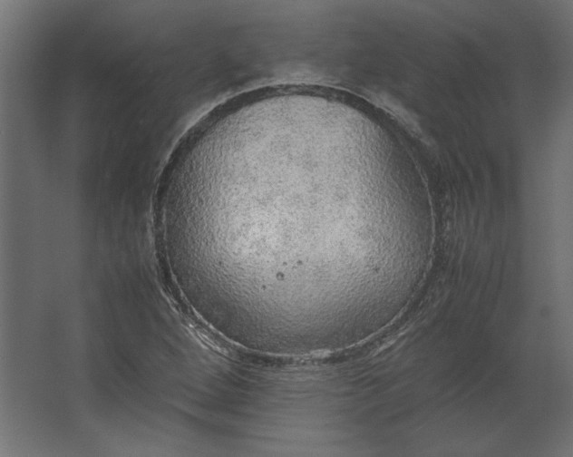 X0000067481264200604211624