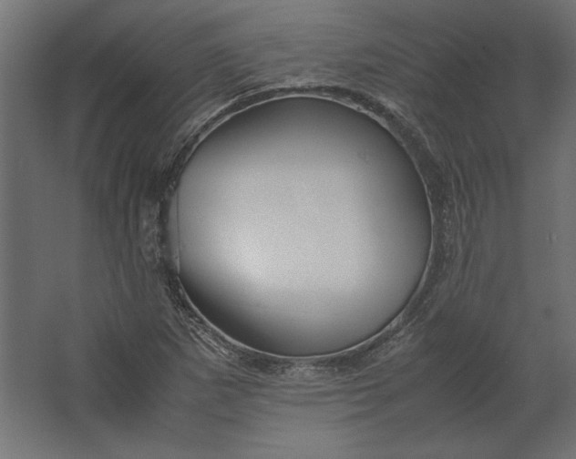 X0000067481265200604211624