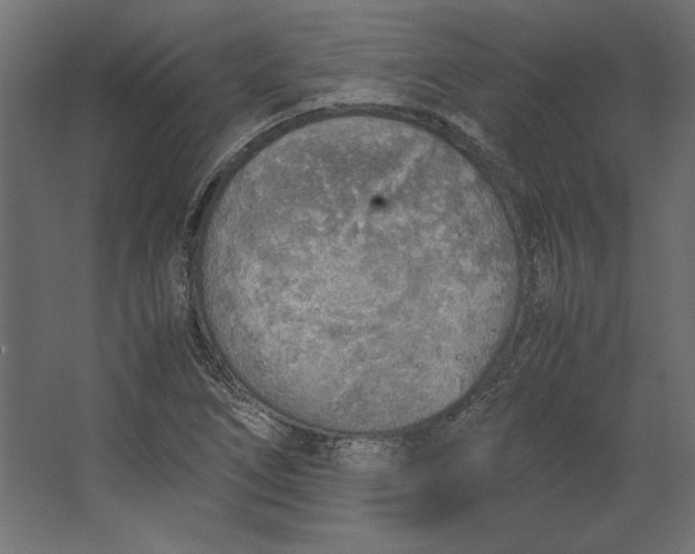 X0000067481266200604211624