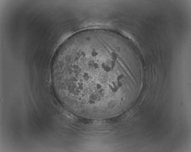 X0000067481267200604211624