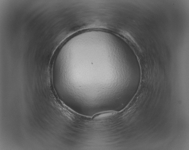 X0000067481268200604211624