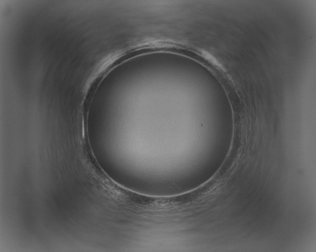 X0000067481269200604211623