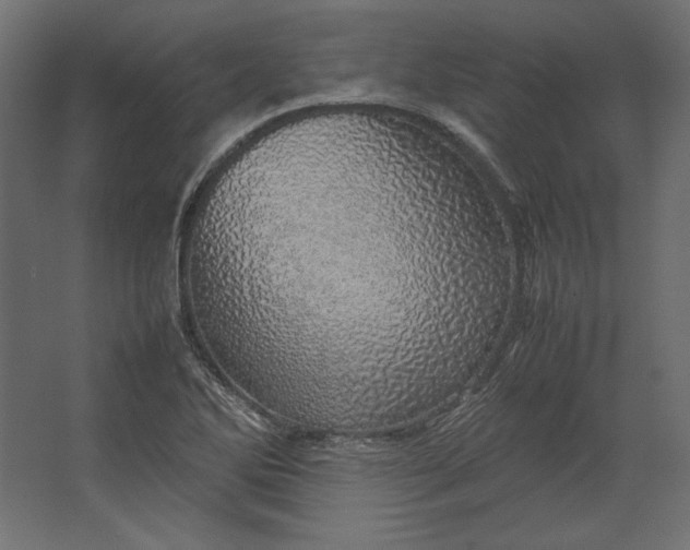 X0000067481270200604211623