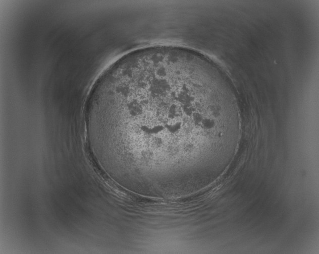 X0000067481271200604211623