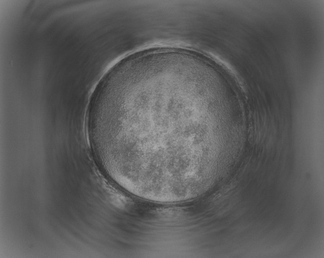 X0000067481272200604211623