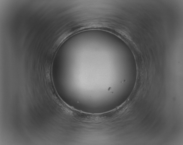 X0000067481273200604211623