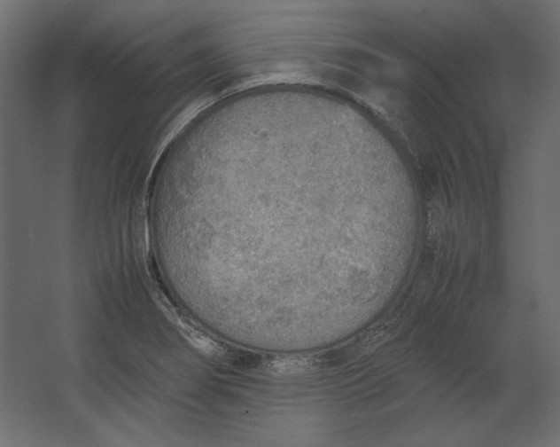 X0000067481274200604211623