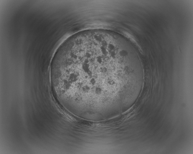 X0000067481275200604211623