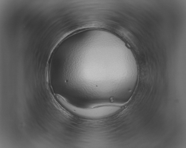 X0000067481276200604211623