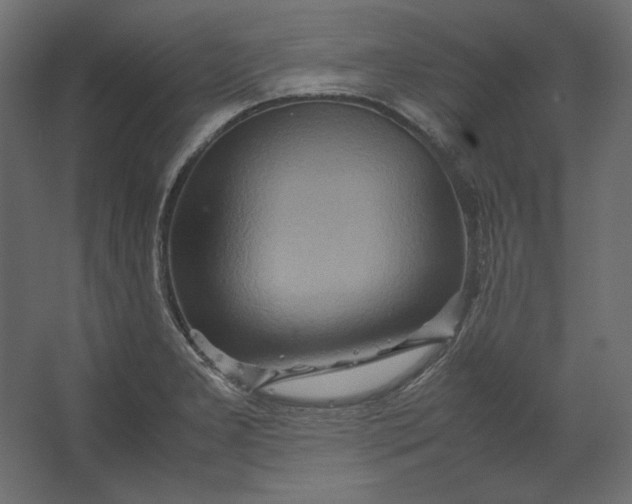 X0000067481277200604211623