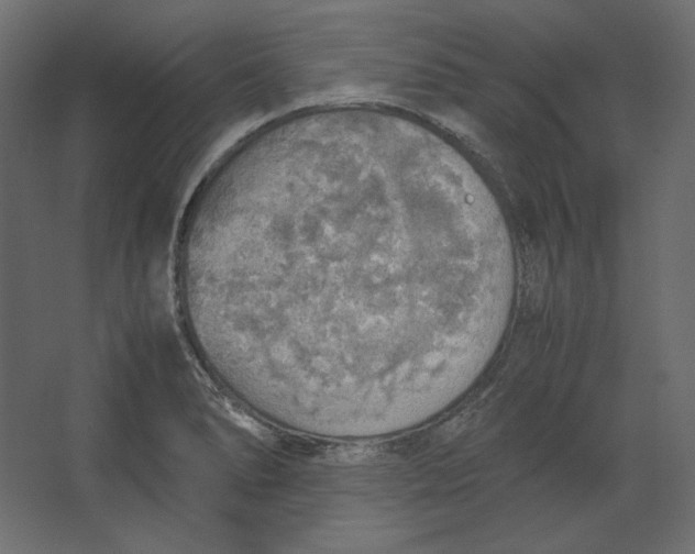 X0000067481278200604211623