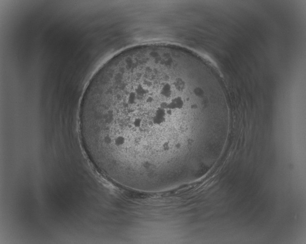 X0000067481279200604211623