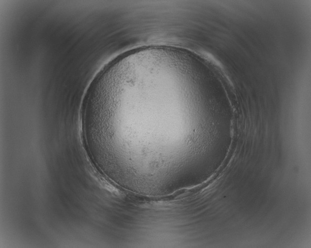 X0000067481280200604211623