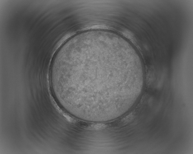 X0000067481282200604211623